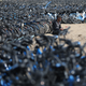 A Chinese worker rests beside rental bicycles in an outdoor parking lot in Beijing, China on March 22, 2018. As many as 70,000 rental bicycles belonging to Bluegogo were moved to this location to wait for repairs and relocation after Bluegogo bicycle rental company closed in November 2017 and was held in trust by Didi Chuxing in January 2018.